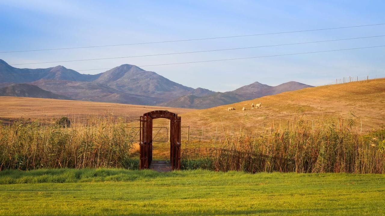 Gasthaus Endless Vineyards at Wildekrans Wine Estate Botrivier Exterior foto