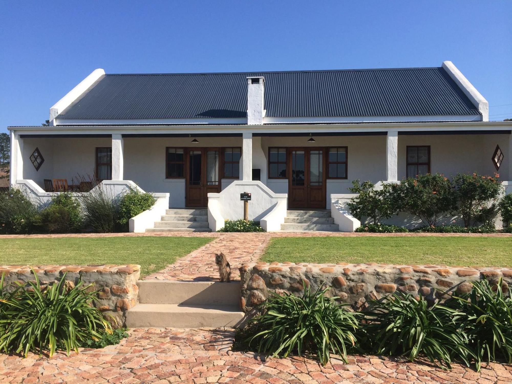 Gasthaus Endless Vineyards at Wildekrans Wine Estate Botrivier Exterior foto