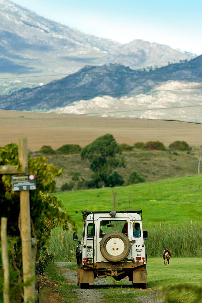 Gasthaus Endless Vineyards at Wildekrans Wine Estate Botrivier Exterior foto